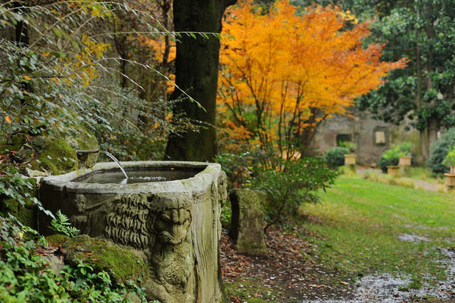 Frascati Scienza - sabato 25 settembre -  Frascati Scienza - sabato 25 settembre -