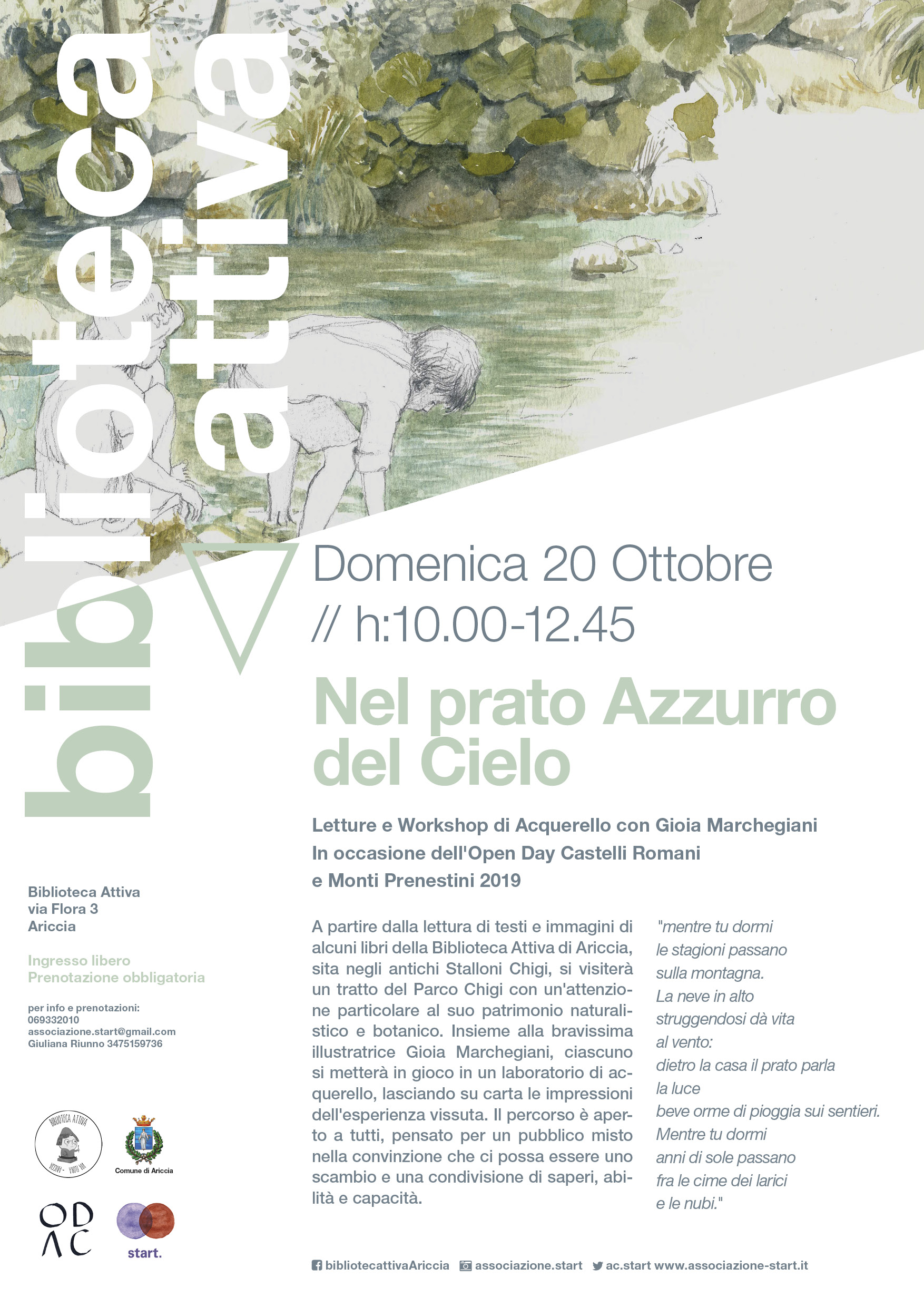 Nel prato azzurro del cielo