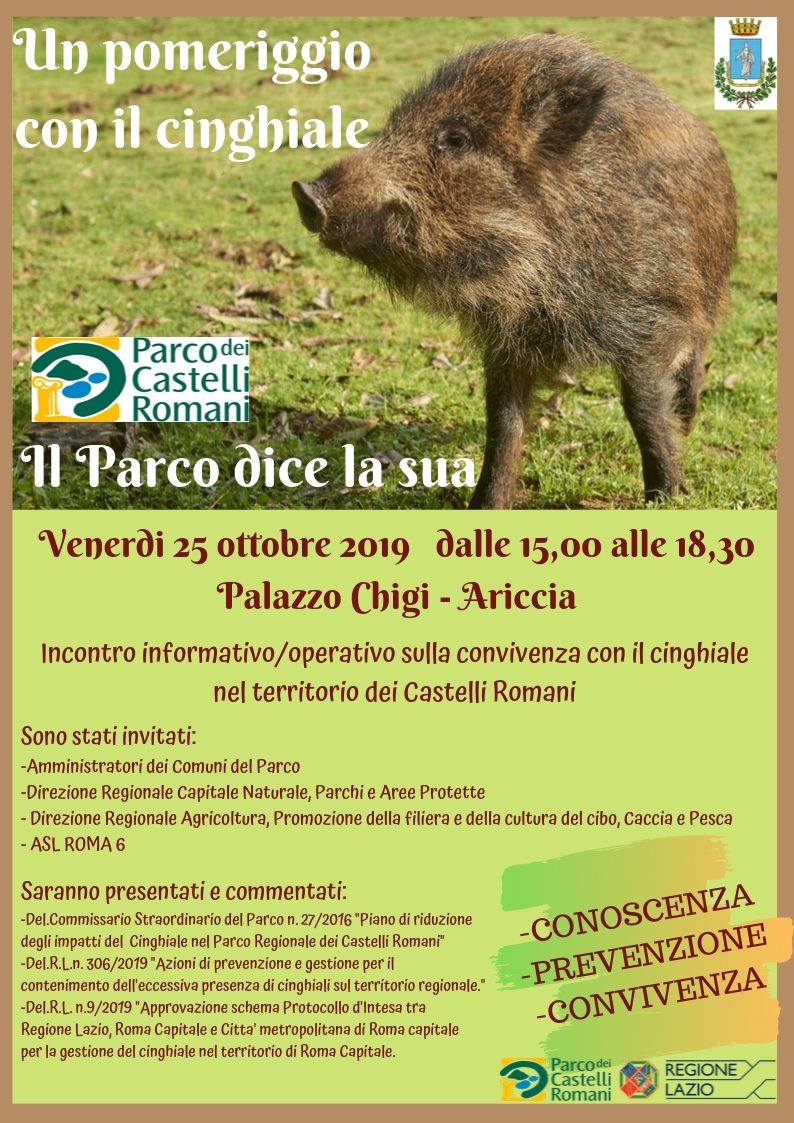 “Un pomeriggio con il cinghiale”