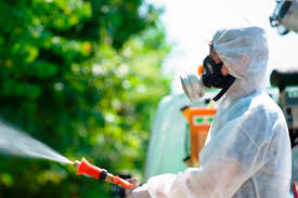 Servizio disinfestazione antilarvale contro insetti alati
