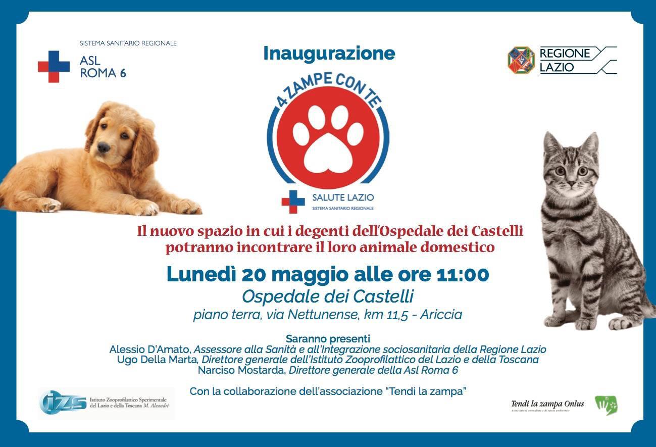 4 zampe con te. Il nuovo spazio in cui i degenti dell'Ospedale dei Castelli potranno incontrare il loro animale domestico